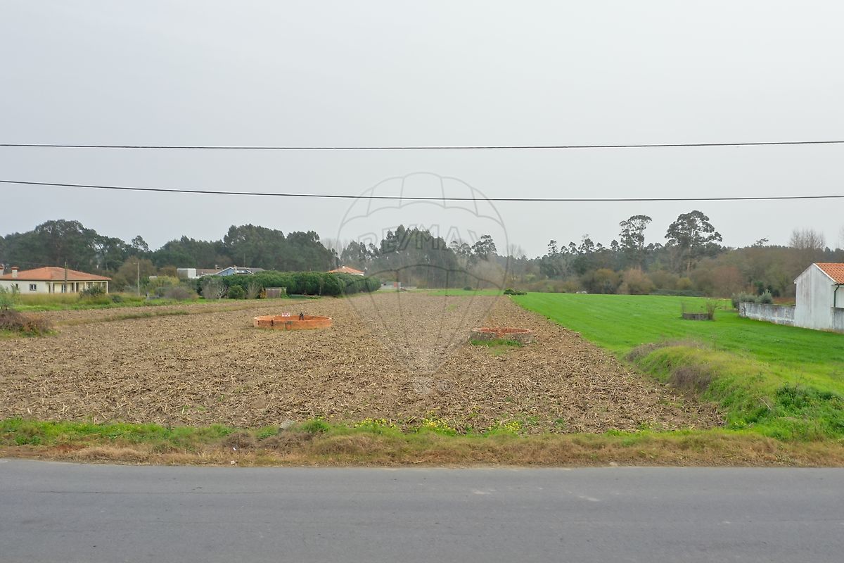 Terreno  à venda em Oliveira do Bairro