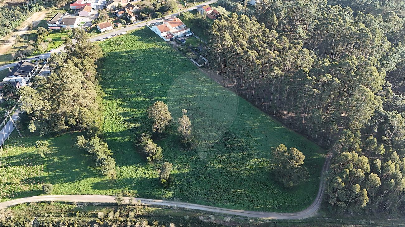 Land for sale in Vagos, Portugal — €100,000