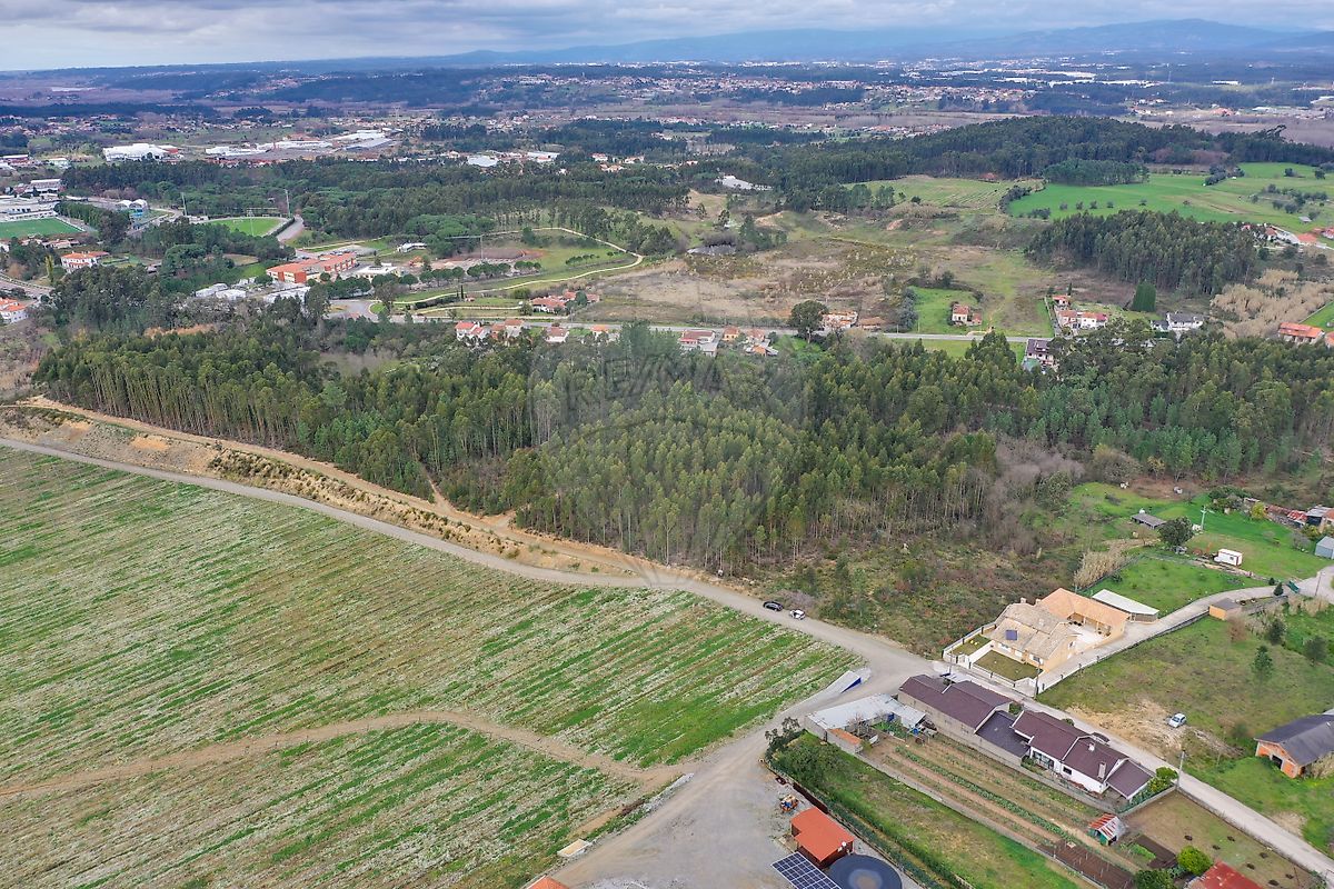 Land for sale in Anadia, Portugal — €59,500