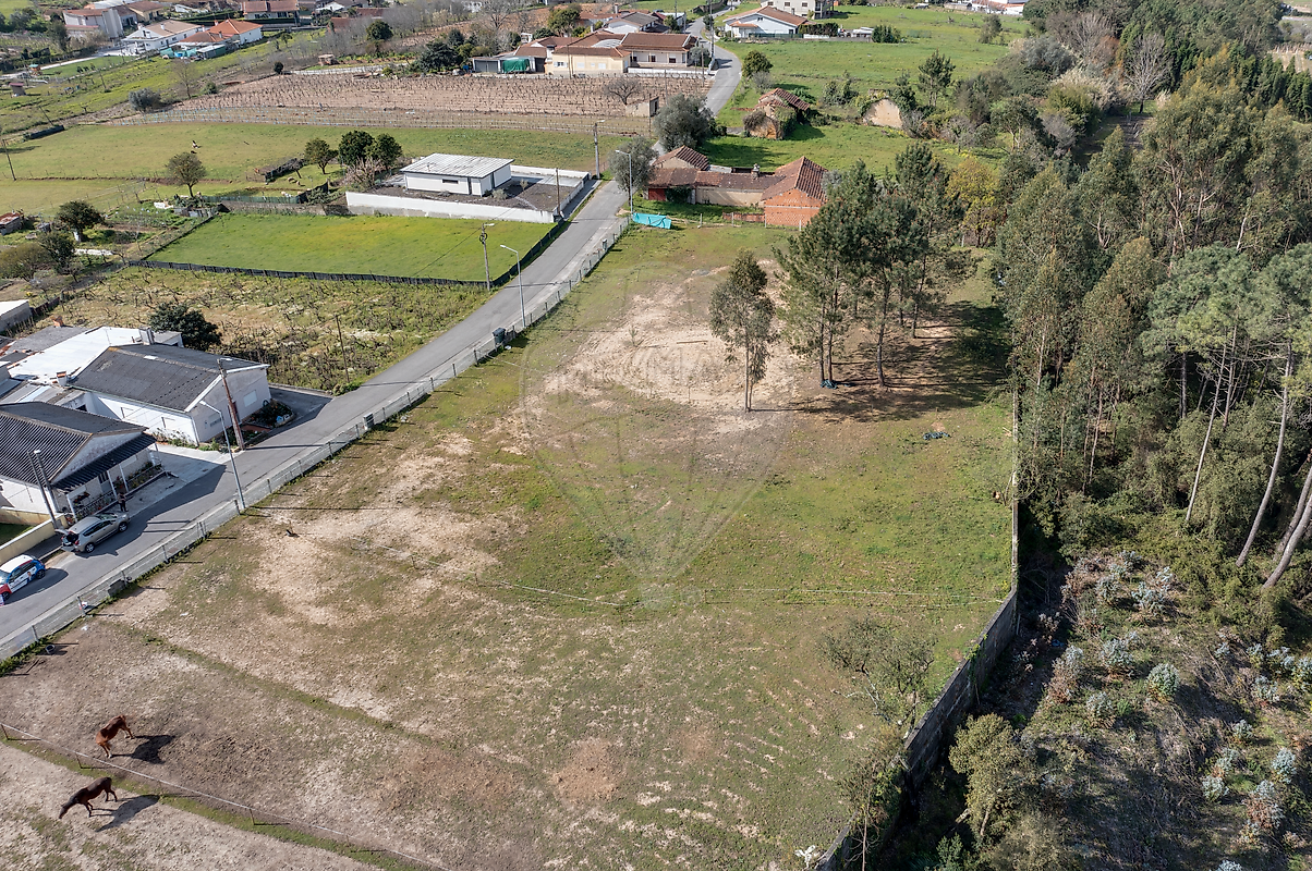 Terreno à venda em Oliveira do Bairro