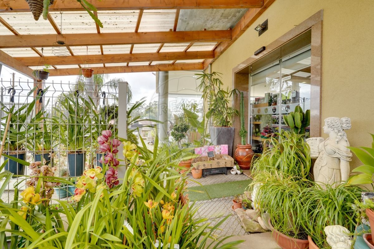 listing 124541110-86 picture-0