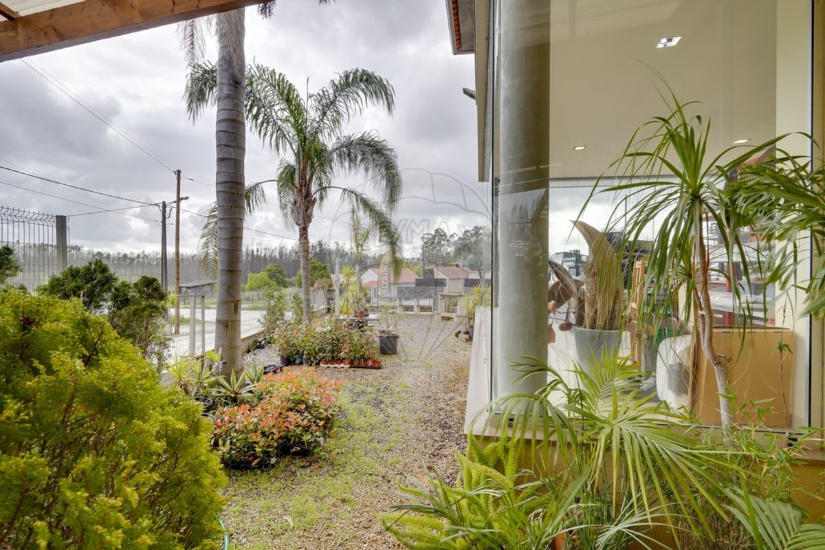 listing 124541110-86 picture-0