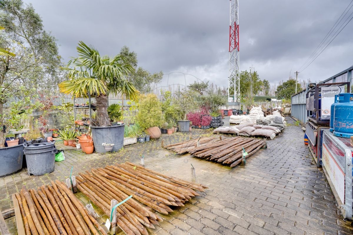 listing 124541110-86 picture-0