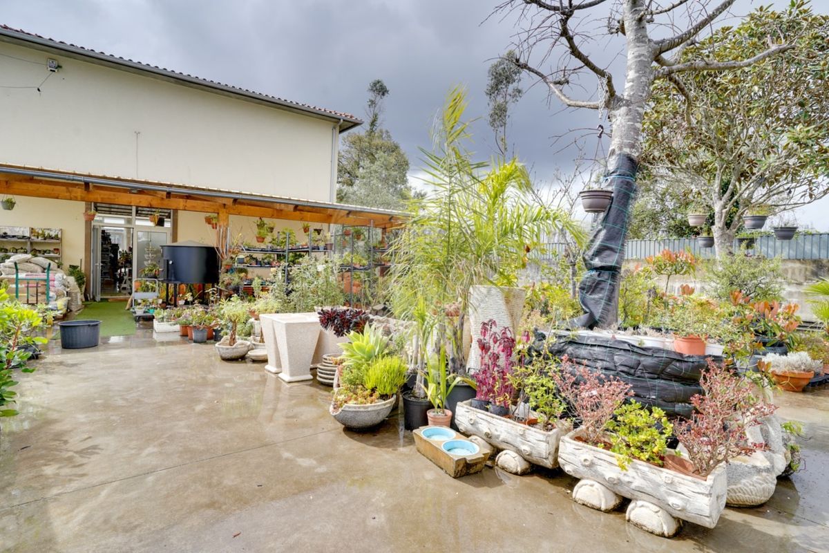 listing 124541110-86 picture-0