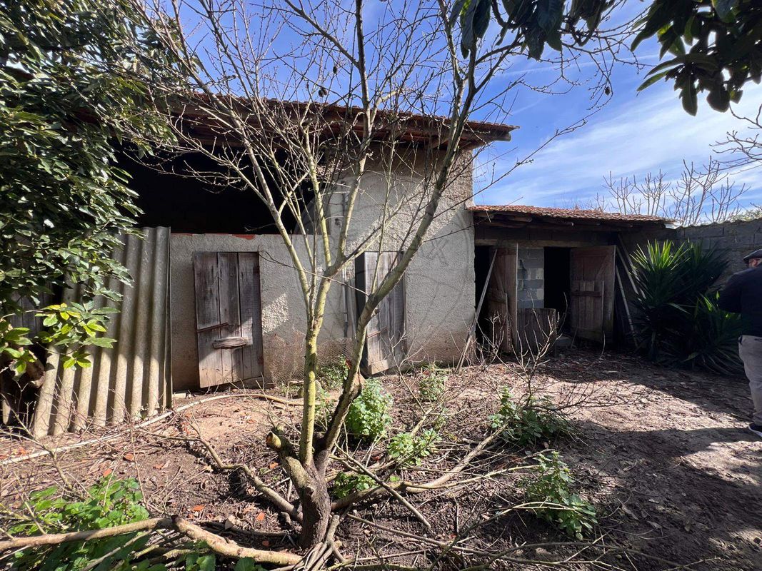 listing 124541083-102 picture-0