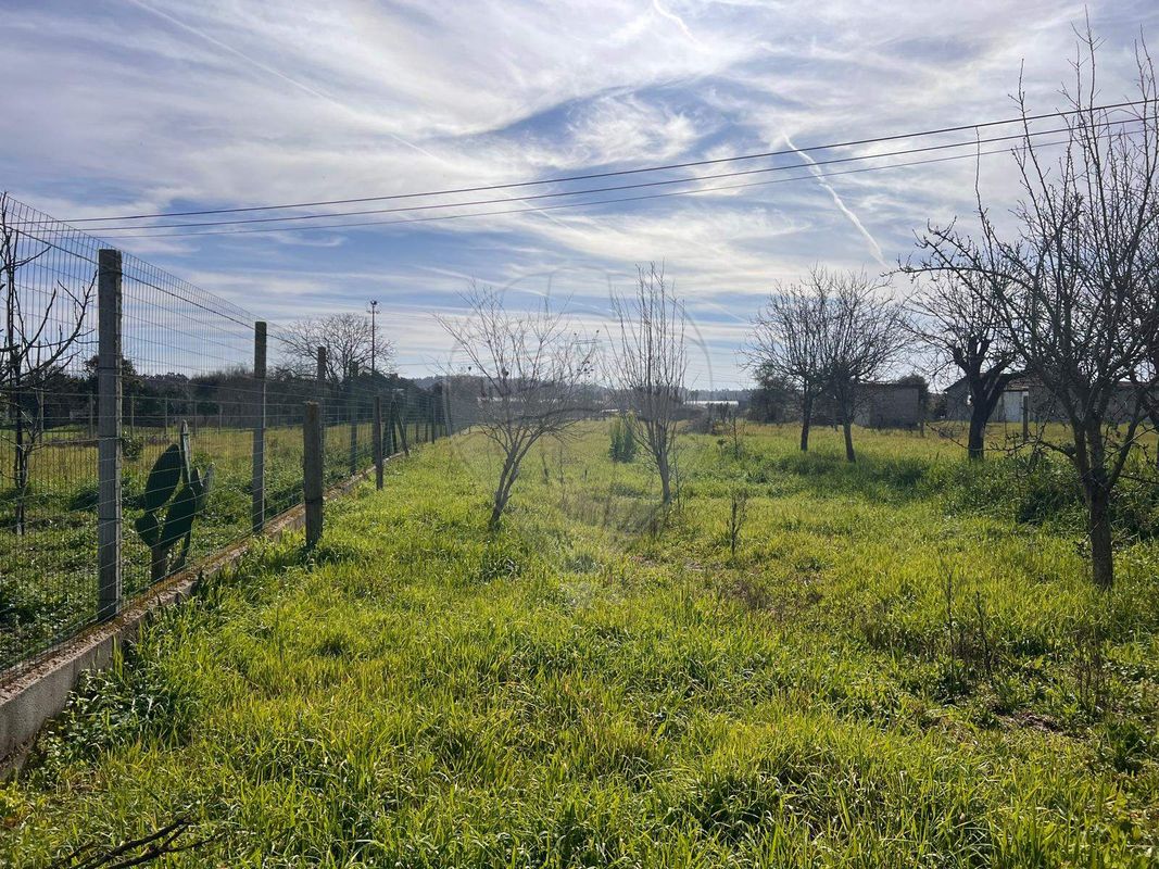 listing 124541083-102 picture-0