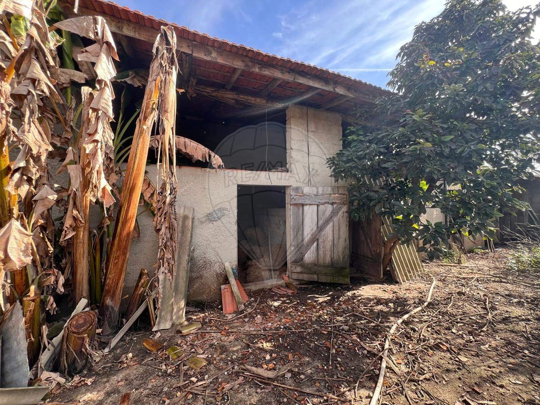 listing 124541083-102 picture-0