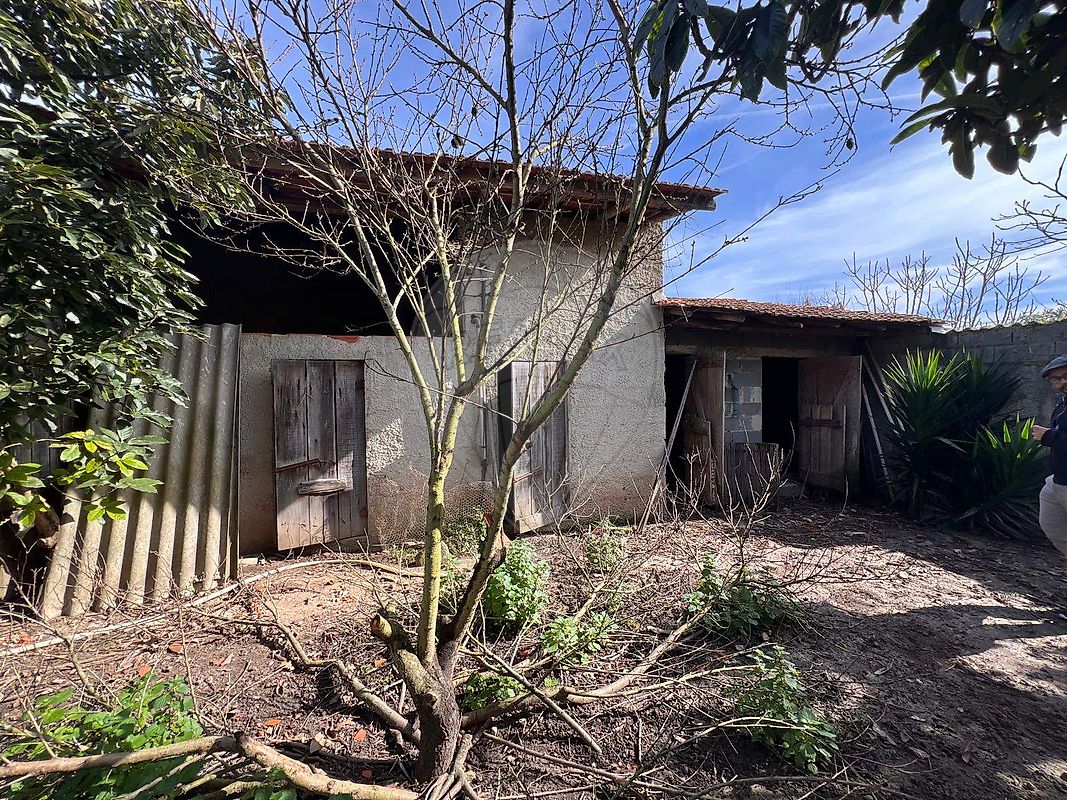 listing 124541083-102 picture-0