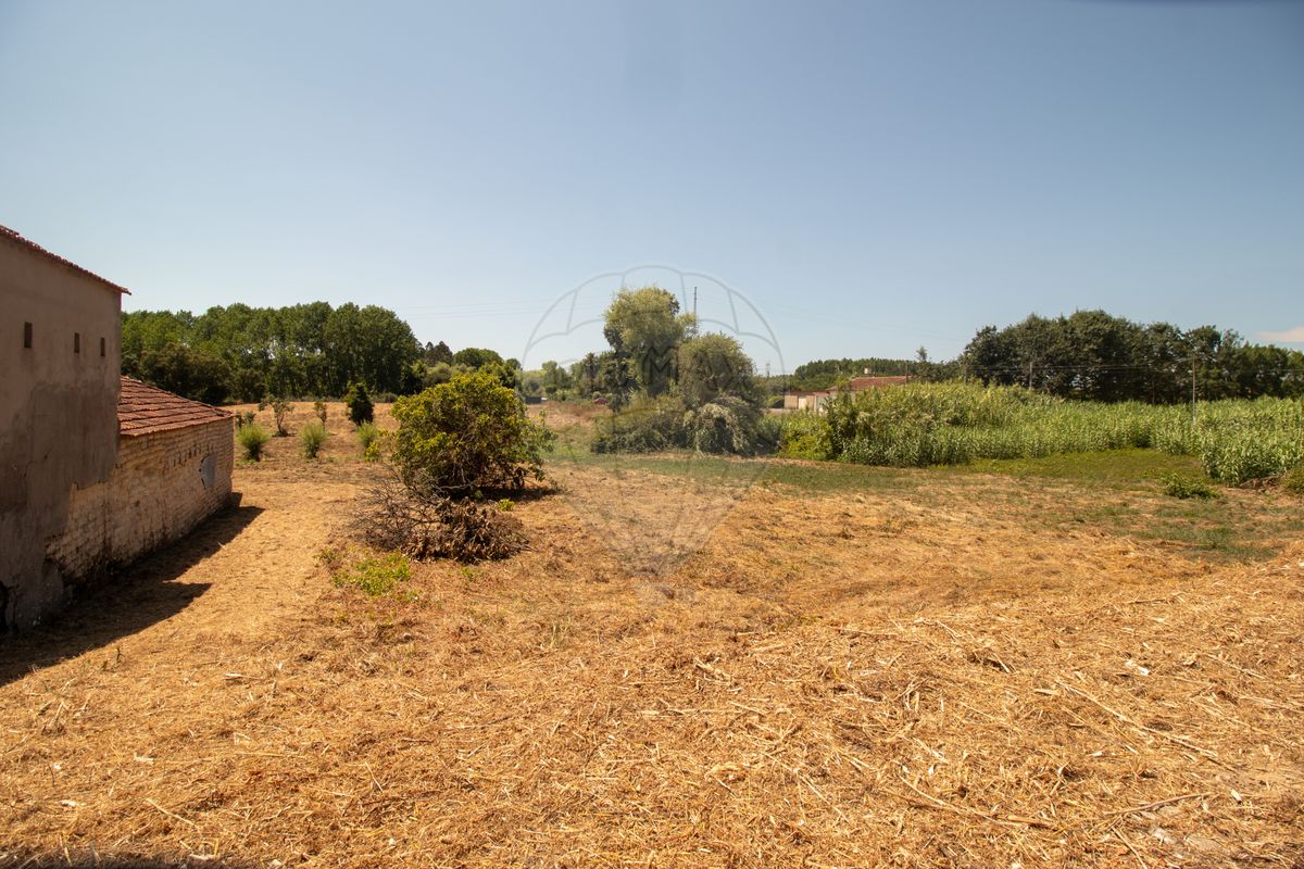 Terreno  para venda