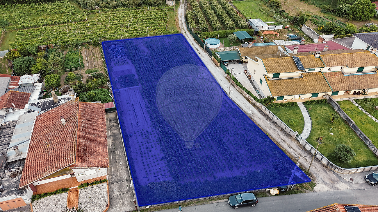 Terreno - Oiã, Oliveira do Bairro, Aveiro