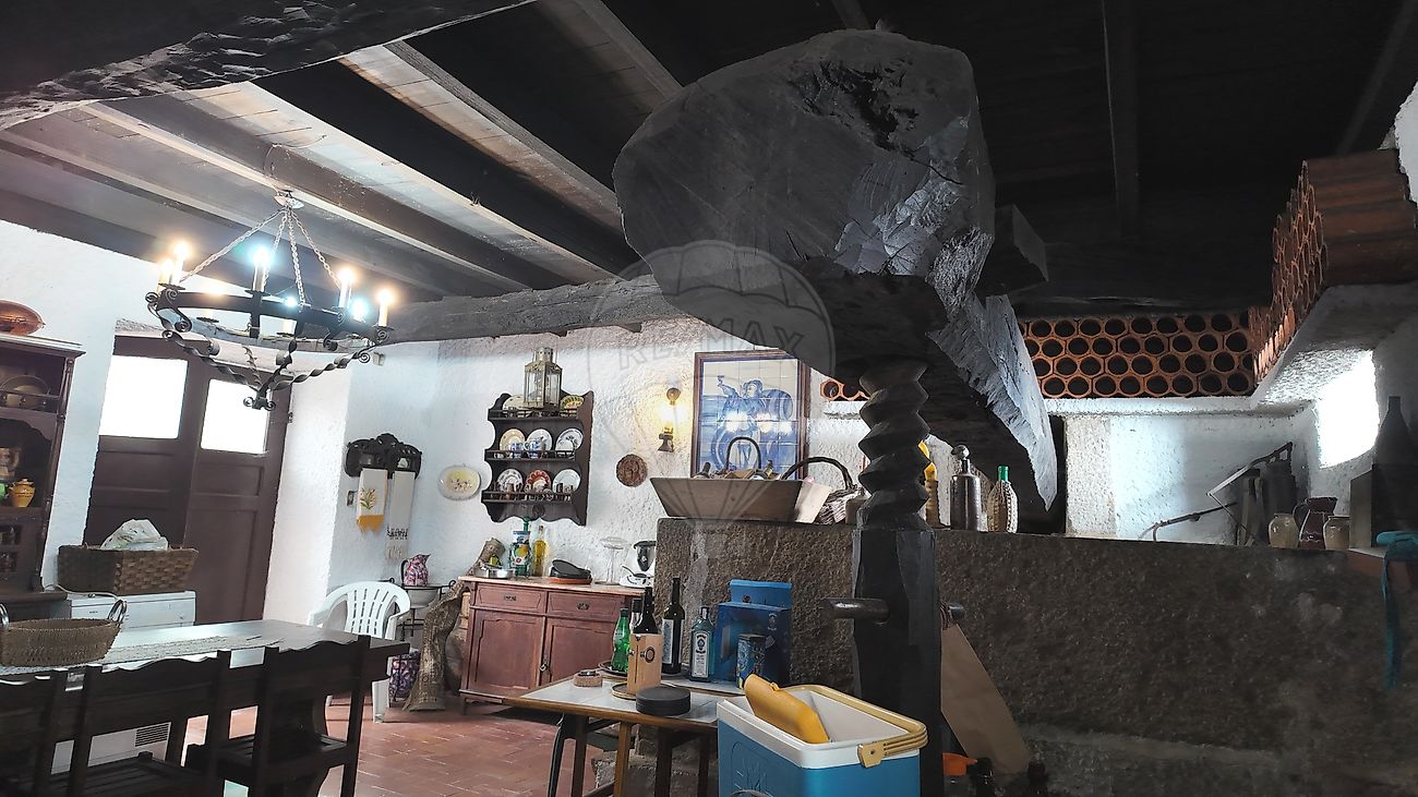 Moradia T6+ à venda em Albergaria-a-Velha e Valmaior, Albergaria-a-Velha — foto 20