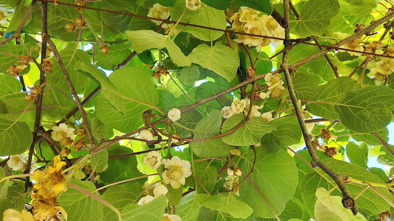 Moradia T6+ à venda em Albergaria-a-Velha e Valmaior, Albergaria-a-Velha — foto 31