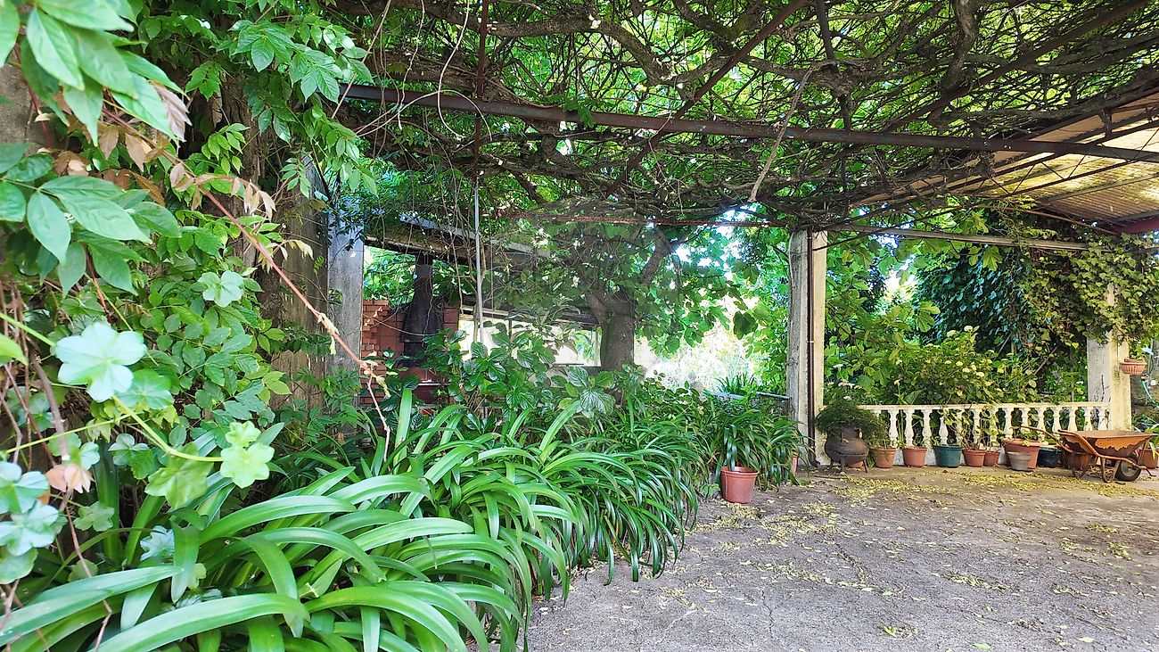 Moradia T6+ à venda em Albergaria-a-Velha e Valmaior, Albergaria-a-Velha — foto 28