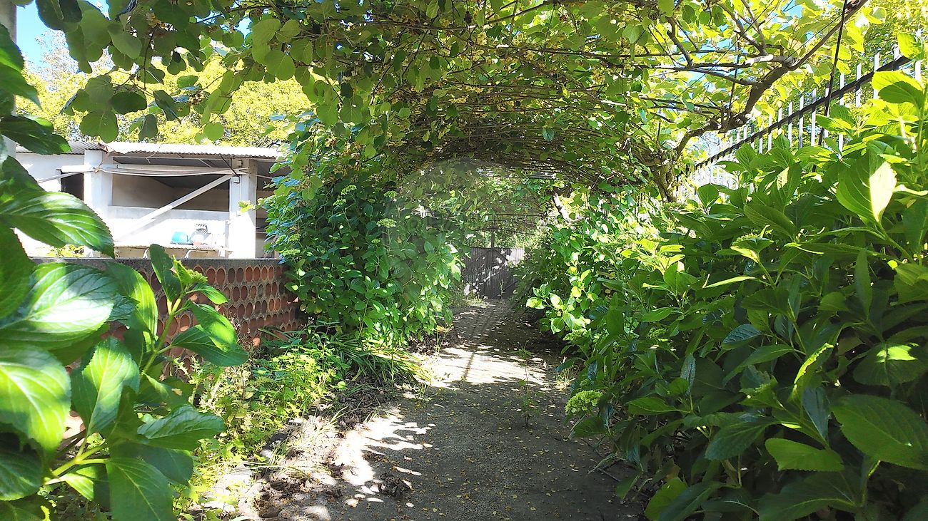 Moradia T6+ à venda em Albergaria-a-Velha e Valmaior, Albergaria-a-Velha — foto 32