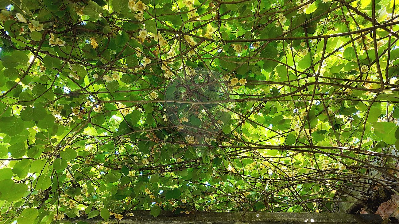 Moradia T6+ à venda em Albergaria-a-Velha e Valmaior, Albergaria-a-Velha — foto 30