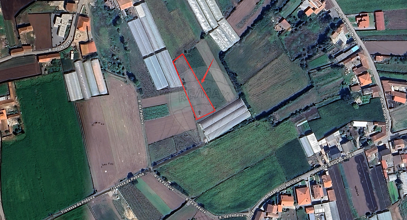 Terreno - Apúlia e Fão, Esposende, Braga