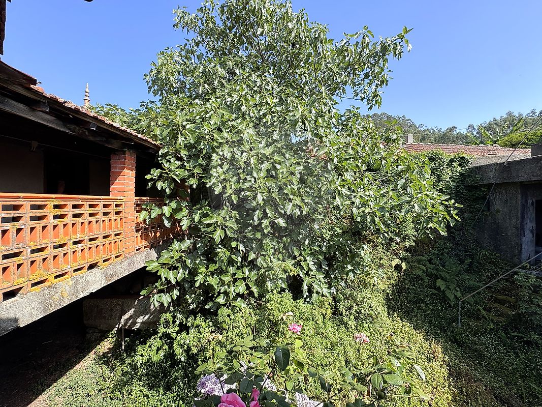 Moradia T4 à venda em São João do Monte e Mosteirinho, Tondela — foto 11