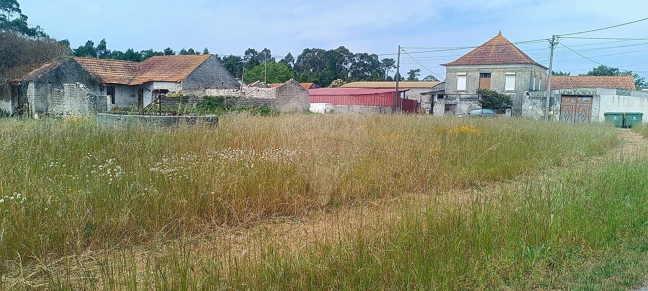 Terreno à venda em Vagos