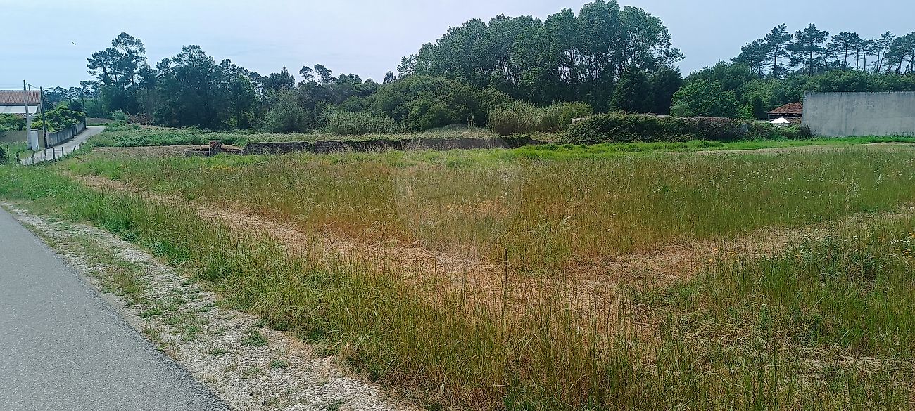 Terreno - Sosa, Vagos, Aveiro