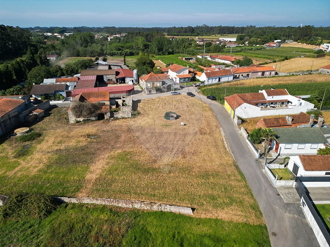 Terreno - Sosa, Vagos, Aveiro