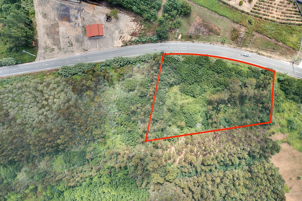 Terreno - Sosa, Vagos, Aveiro