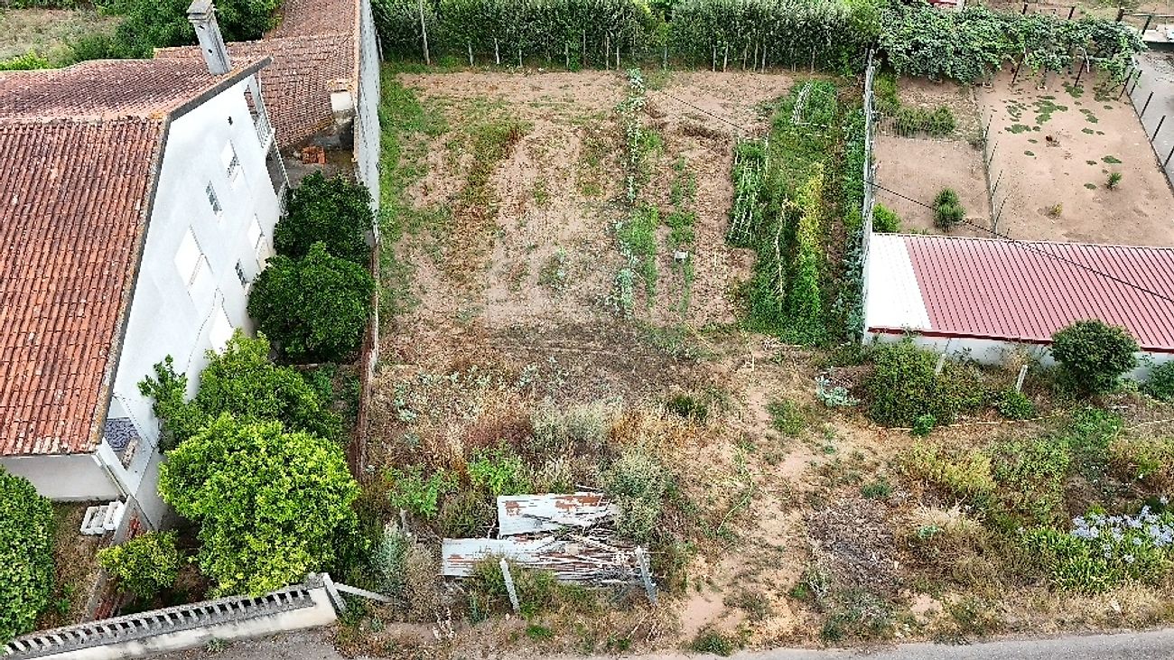 Terreno - Recardães e Espinhel, Águeda, Aveiro