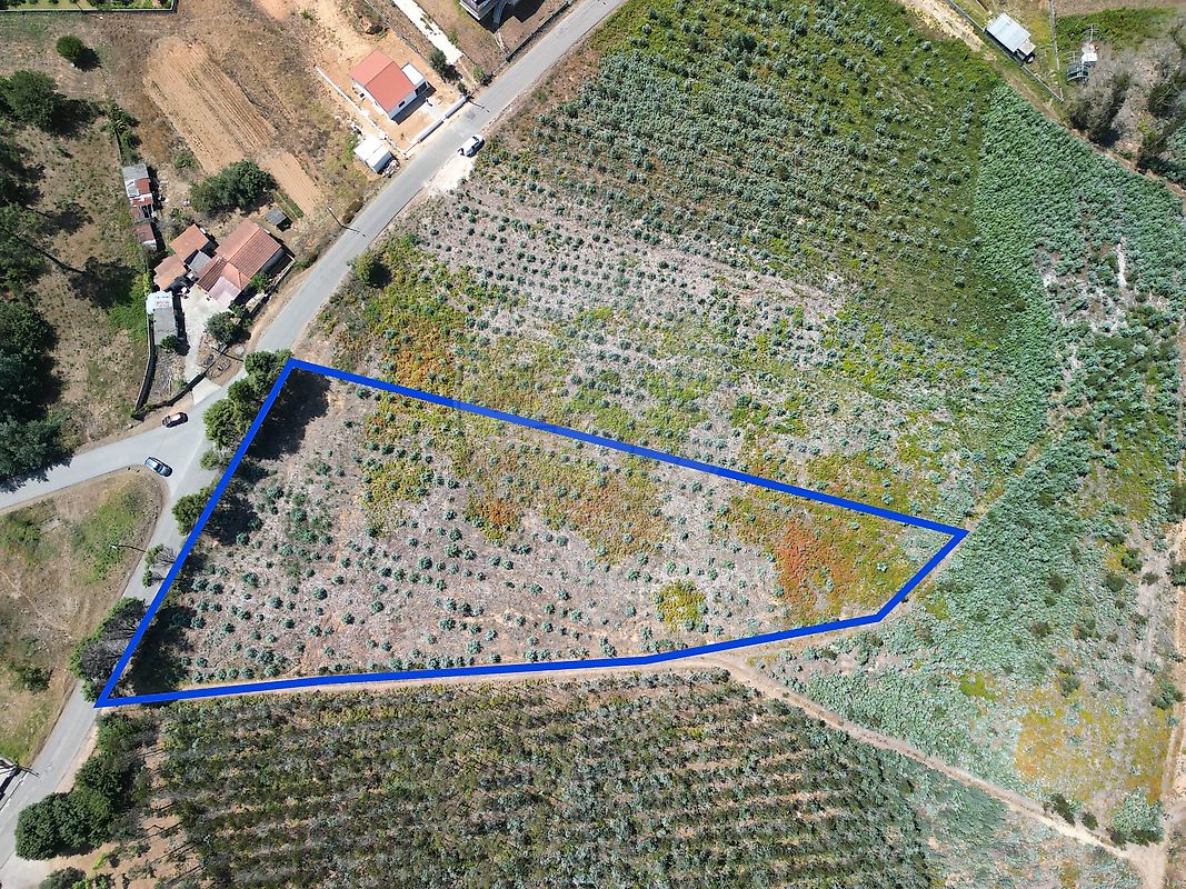 Terreno - Macinhata do Vouga, Águeda, Aveiro