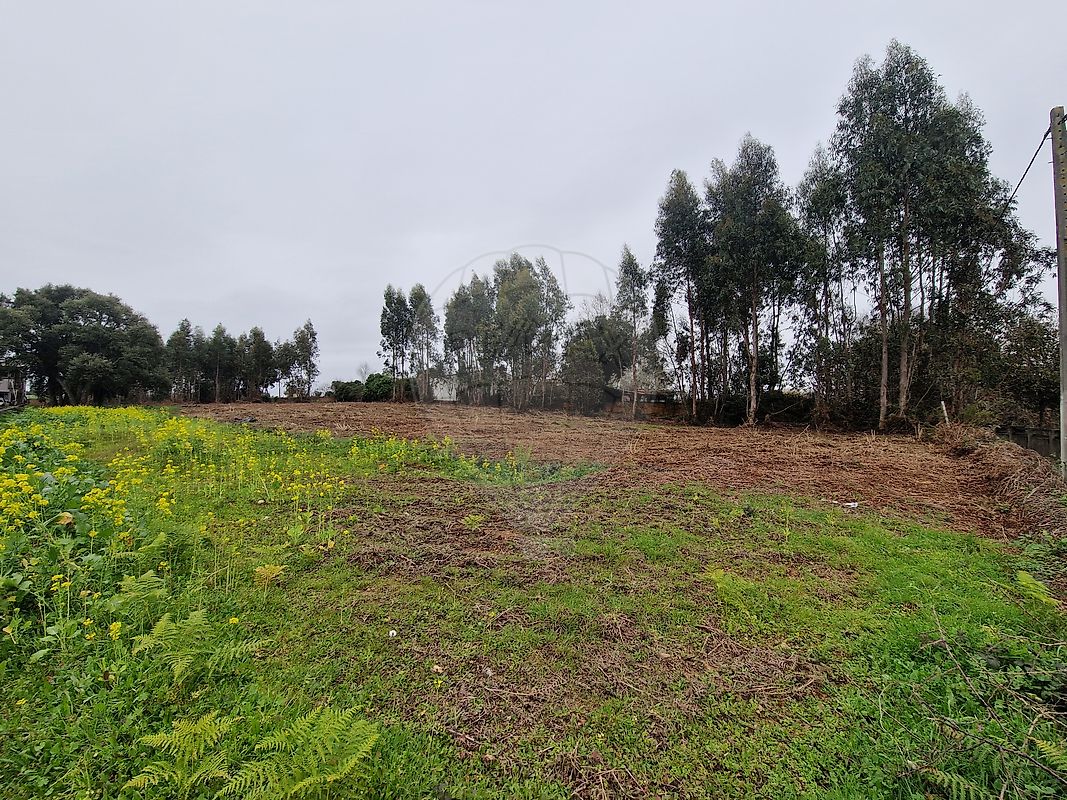 Terreno - Salreu, Estarreja, Aveiro