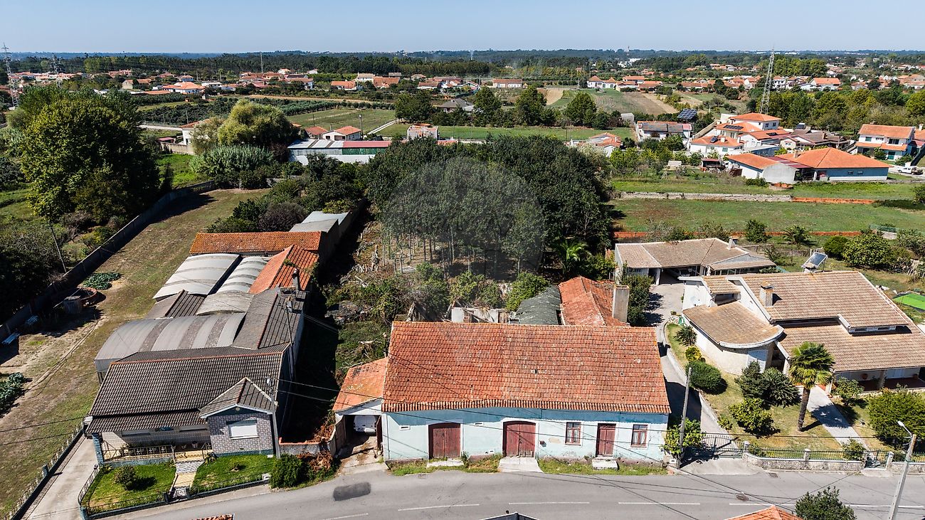 Moradia T4 à venda em Bustos, Troviscal e Mamarrosa, Oliveira do Bairro — foto 29