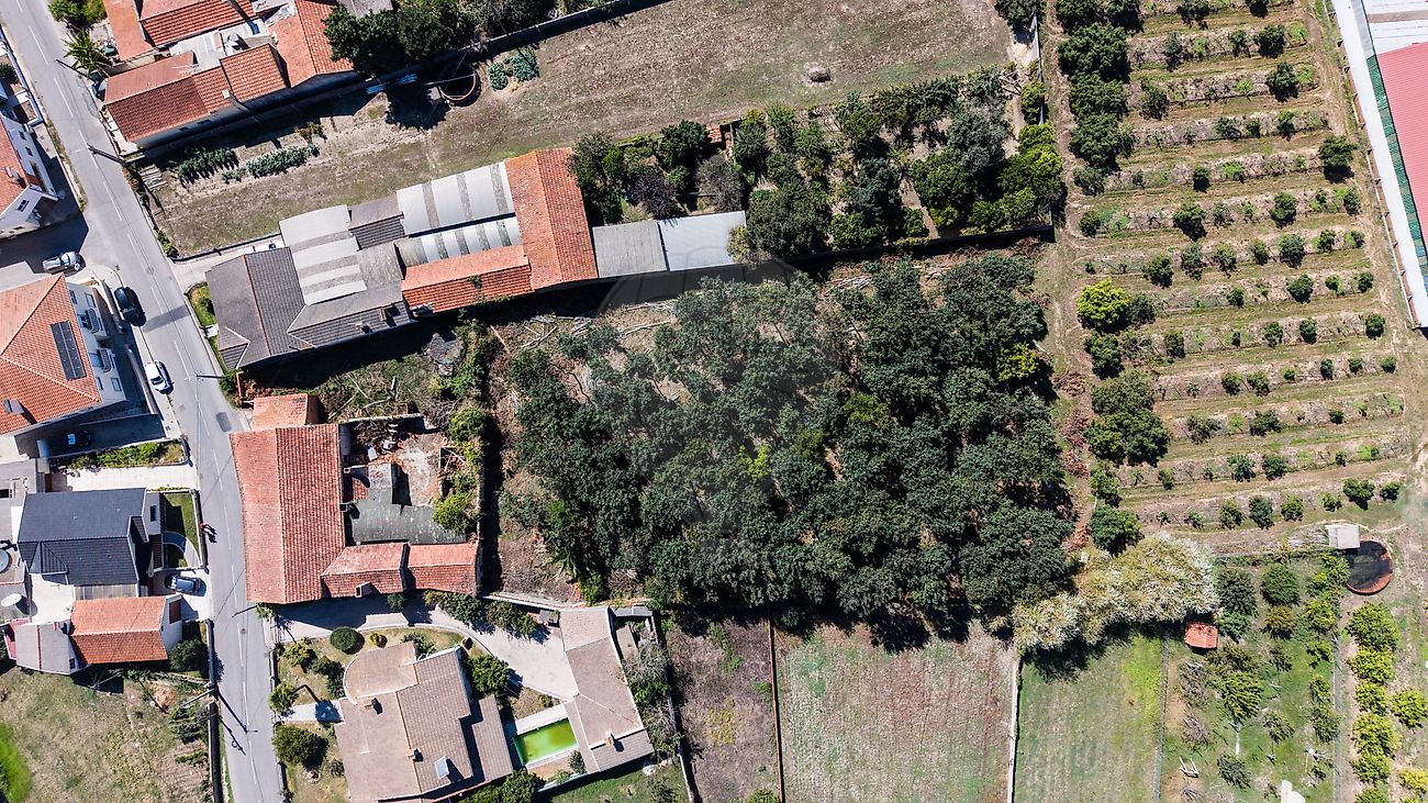 Moradia T4 à venda em Bustos, Troviscal e Mamarrosa, Oliveira do Bairro — foto 30