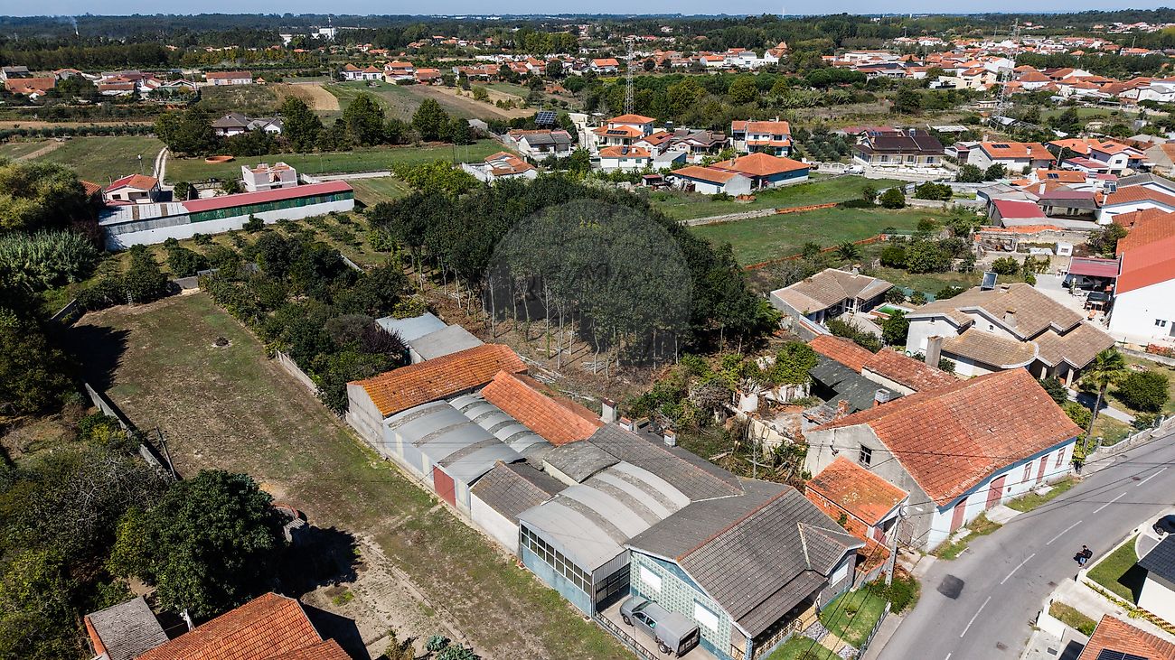 Moradia T4 à venda em Bustos, Troviscal e Mamarrosa, Oliveira do Bairro — foto 28