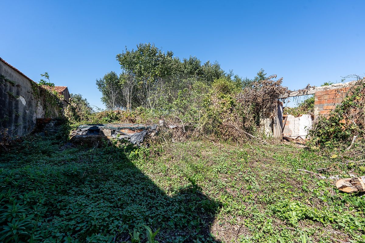 Moradia T4 à venda em Bustos, Troviscal e Mamarrosa, Oliveira do Bairro — foto 23