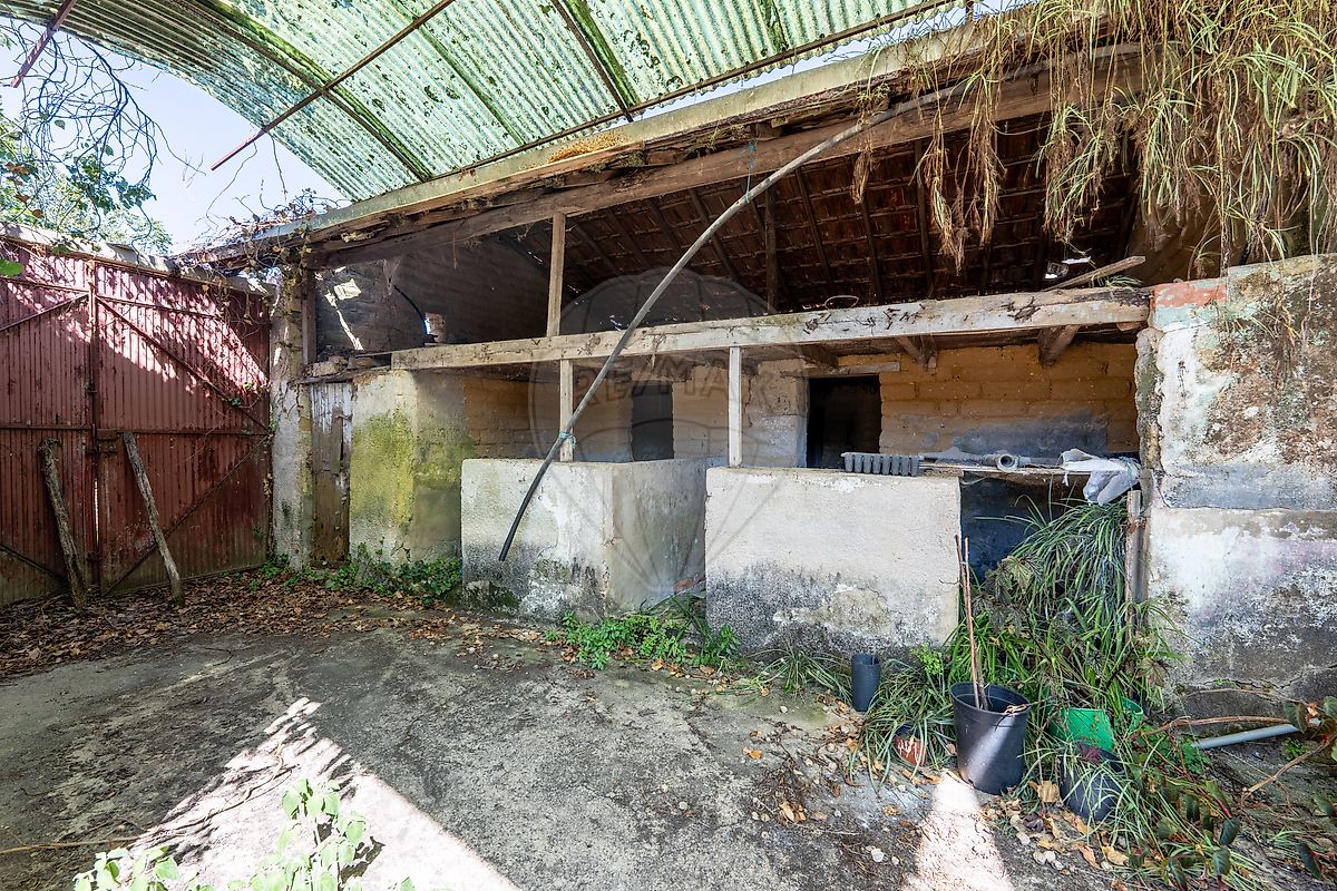 Moradia T4 à venda em Bustos, Troviscal e Mamarrosa, Oliveira do Bairro — foto 18