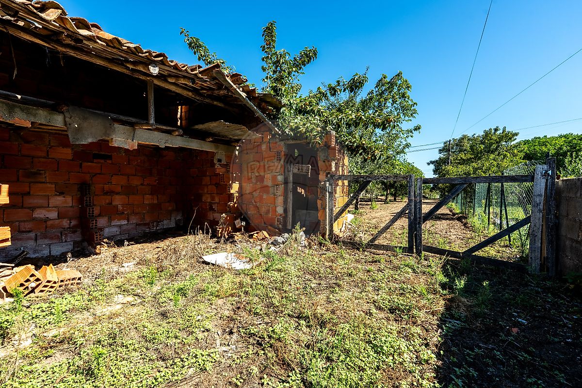 Moradia T1 à venda em Amoreira da Gândara, Paredes do Bairro e Ancas, Anadia — foto 9