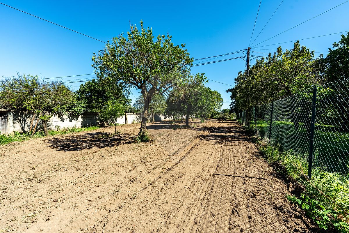 Moradia T1 à venda em Amoreira da Gândara, Paredes do Bairro e Ancas, Anadia — foto 11