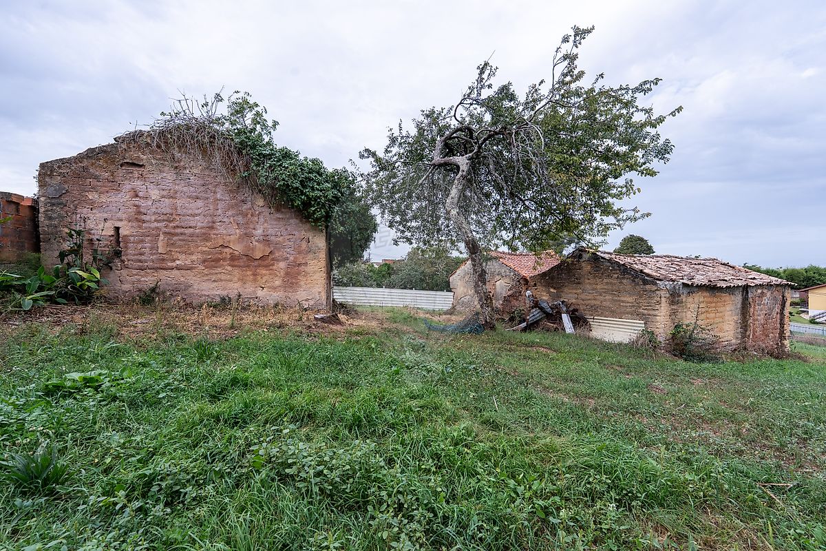 Moradia T1 à venda em São João de Loure e Frossos, Albergaria-a-Velha — foto 26