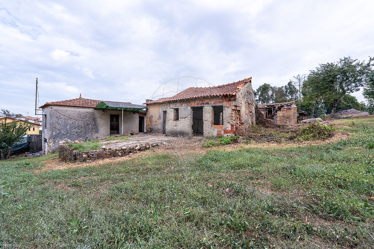 Moradia T1 à venda em São João de Loure e Frossos, Albergaria-a-Velha — foto 30