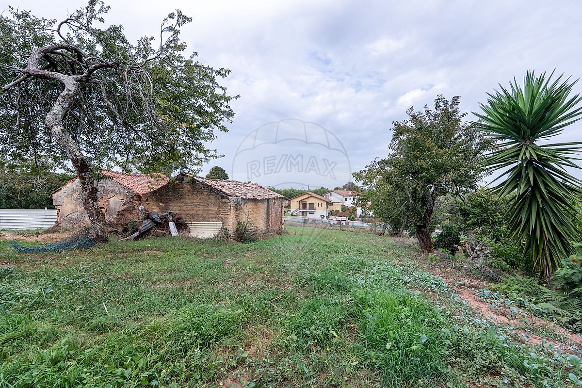 Moradia T1 à venda em São João de Loure e Frossos, Albergaria-a-Velha — foto 25