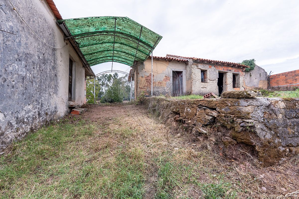 Moradia T1 à venda em São João de Loure e Frossos, Albergaria-a-Velha — foto 31