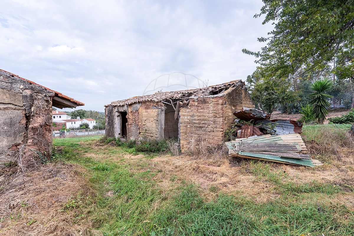 Moradia T1 à venda em São João de Loure e Frossos, Albergaria-a-Velha — foto 28