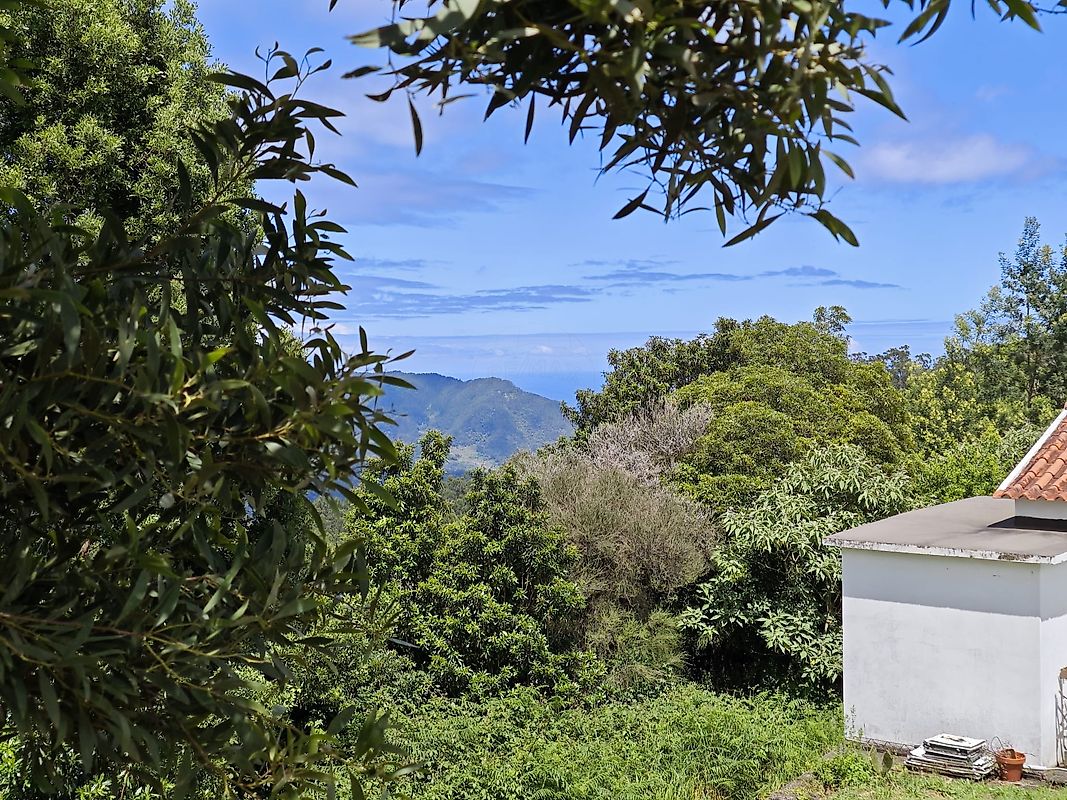 Terreno à venda em Machico