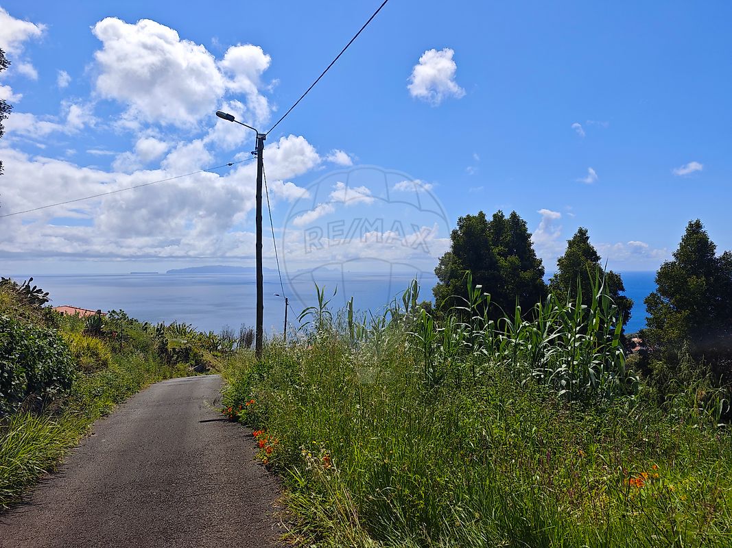 Land for sale in Armamar, Portugal — €248,500