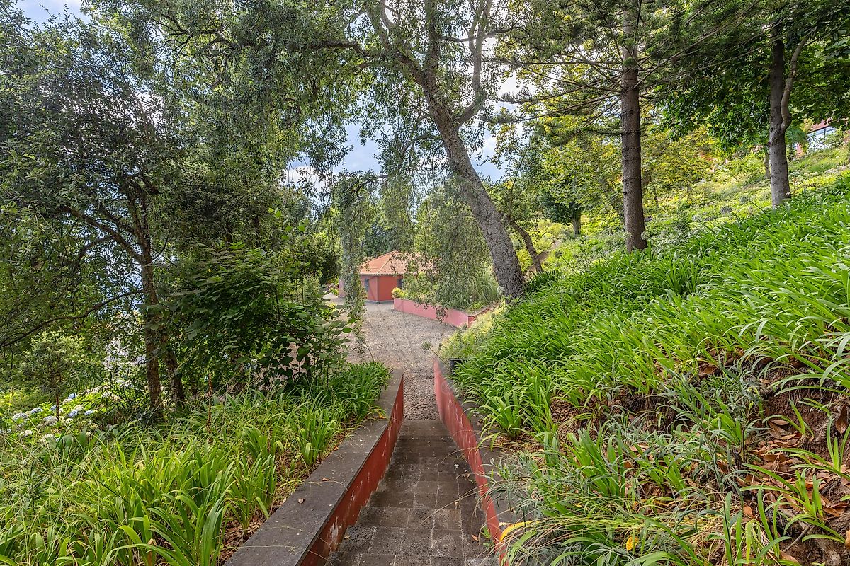TODO