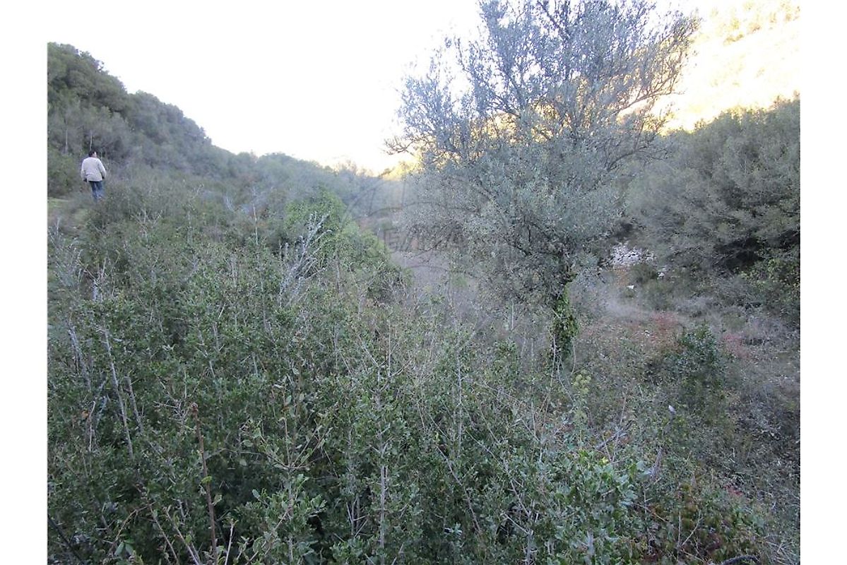 Terreno  para venda