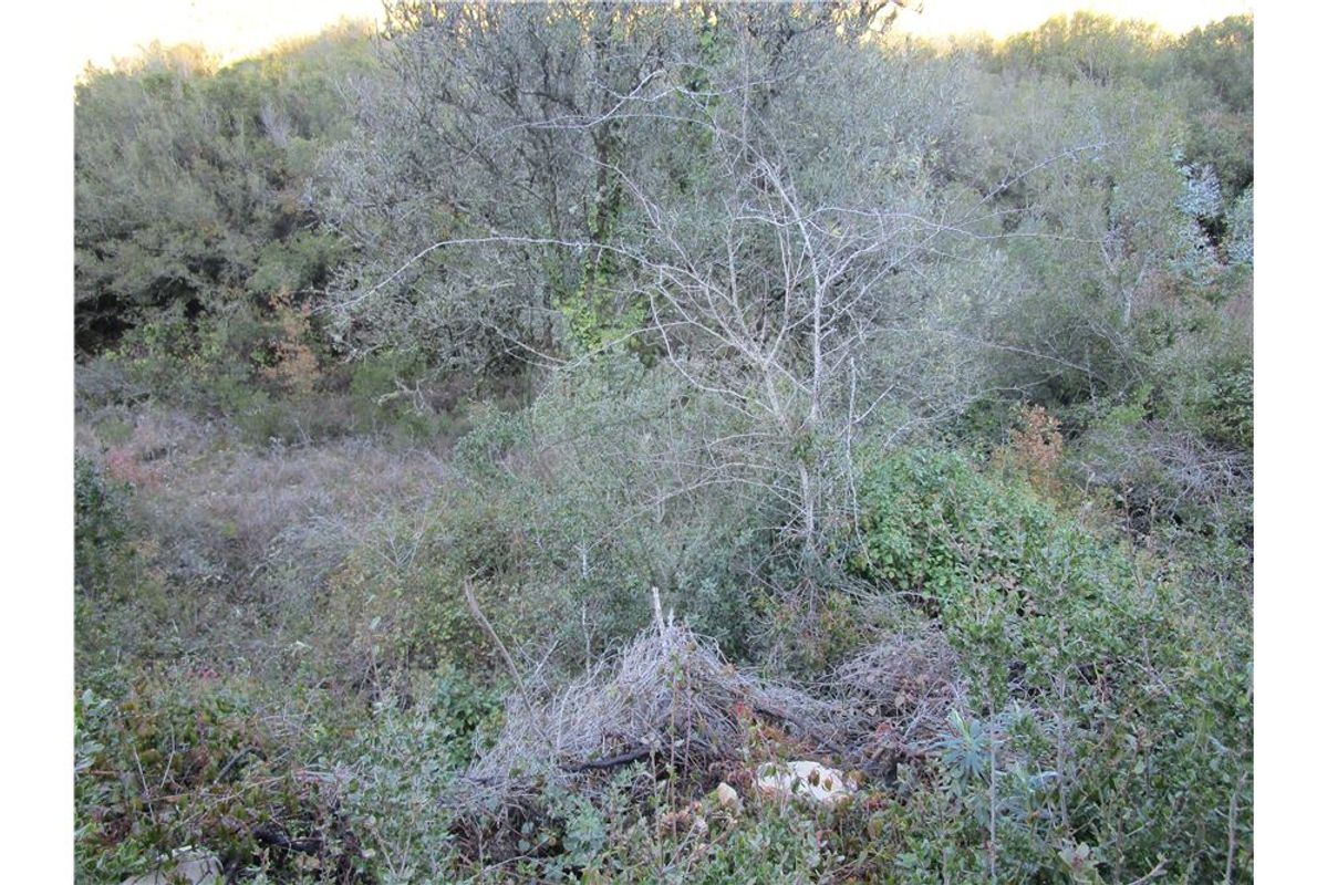 Terreno  para venda