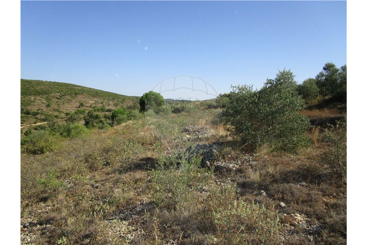 Terreno para venda