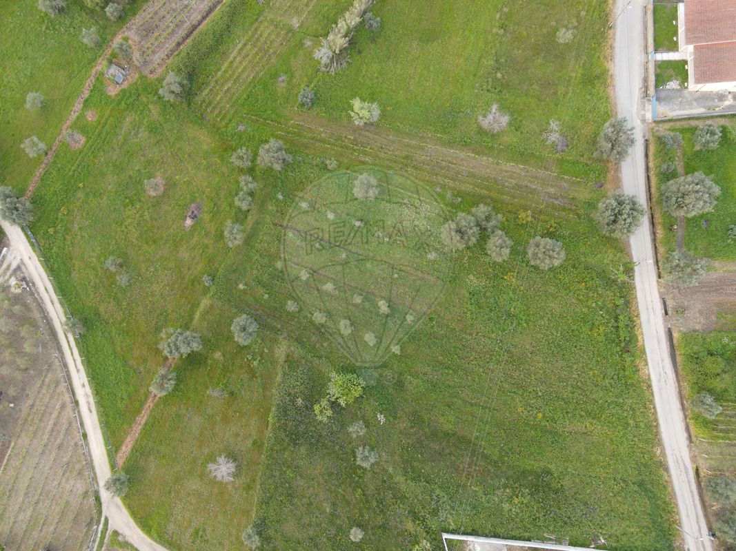 124571007-277