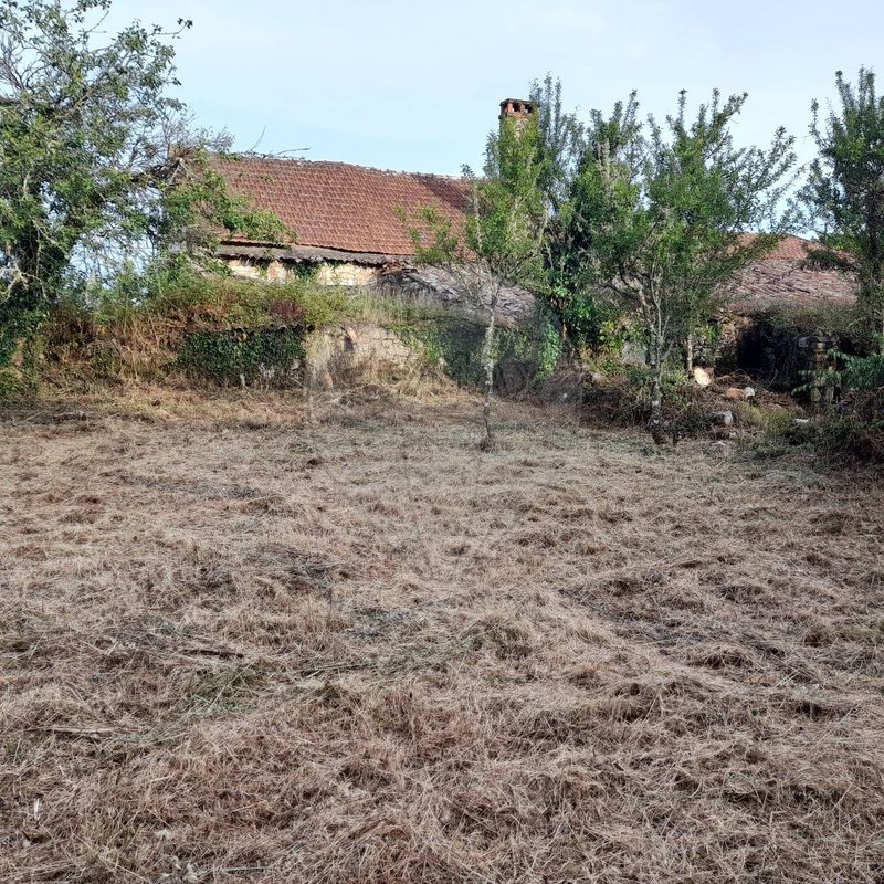 listing 124571033-40 picture-0