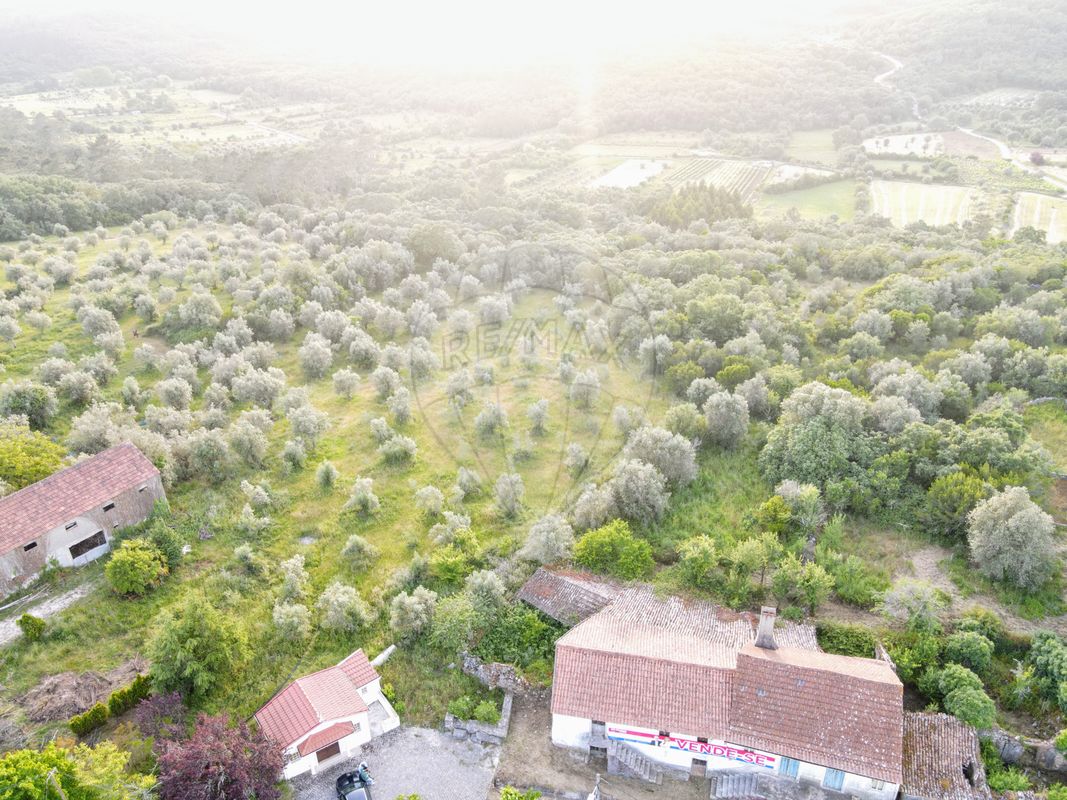 listing 124571033-40 picture-0