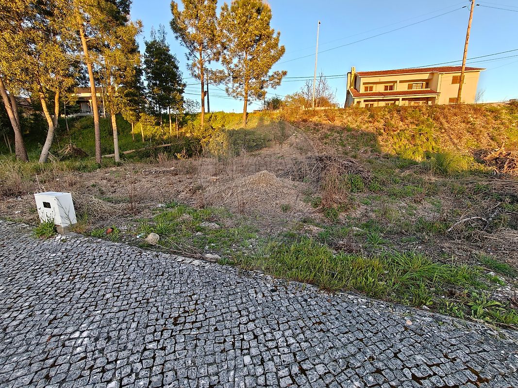 Terreno - Ançã, Cantanhede, Coimbra